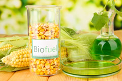 Dallas biofuel availability